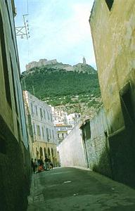 1002 RUE  EMANUEL  LEONI